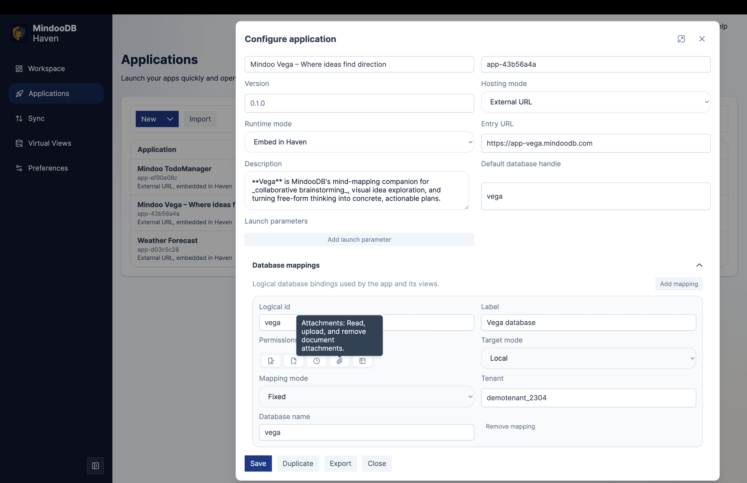Haven Configure application dialog showing runtime mode, hosting mode, launch parameters, and per-database capabilities (read, create, update, delete, history, attachments, views) with a tooltip describing the attachments permission