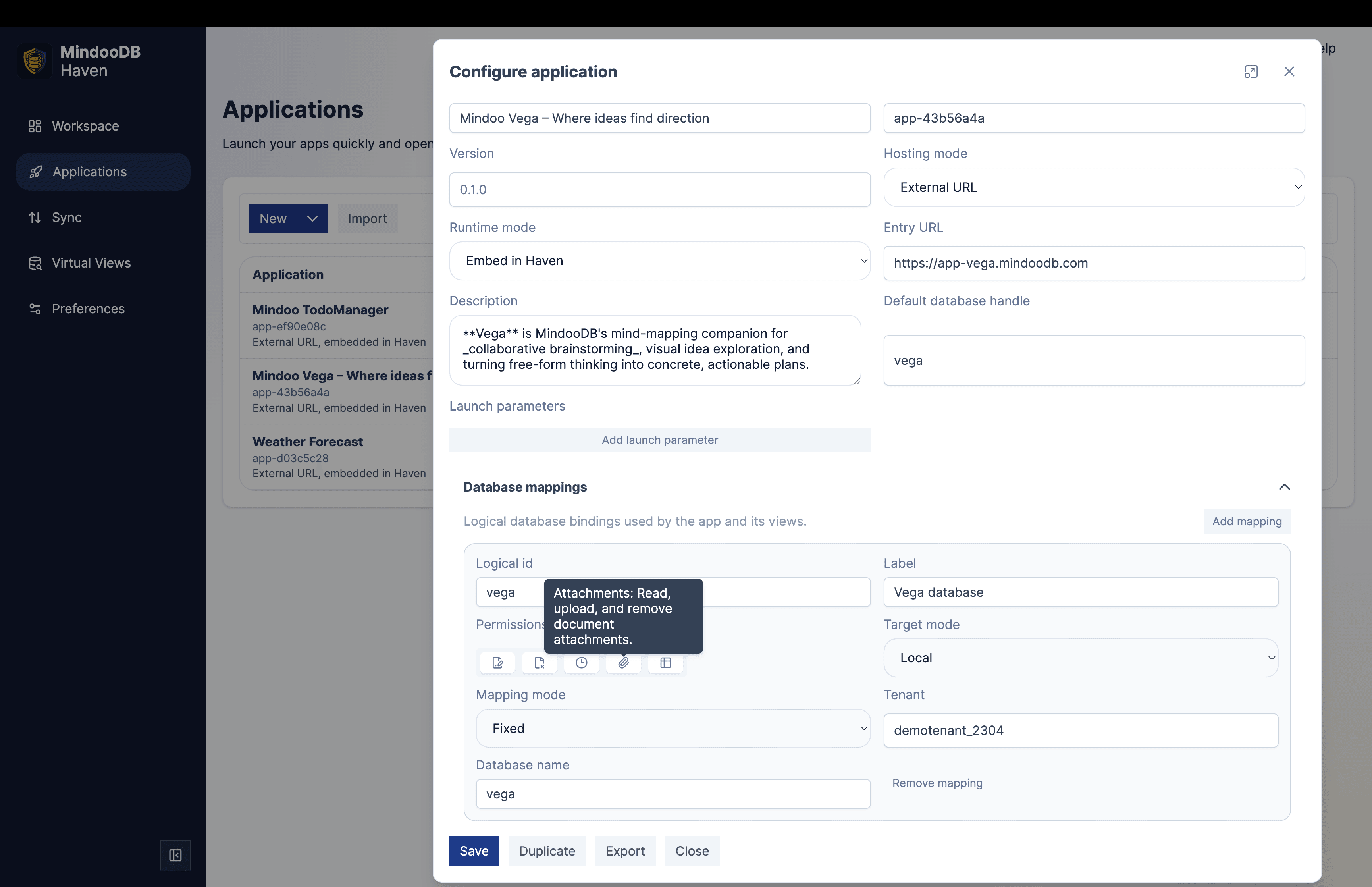 Haven Configure application dialog showing runtime mode, hosting mode, launch parameters, and per-database capabilities (read, create, update, delete, history, attachments, views) with a tooltip describing the attachments permission
