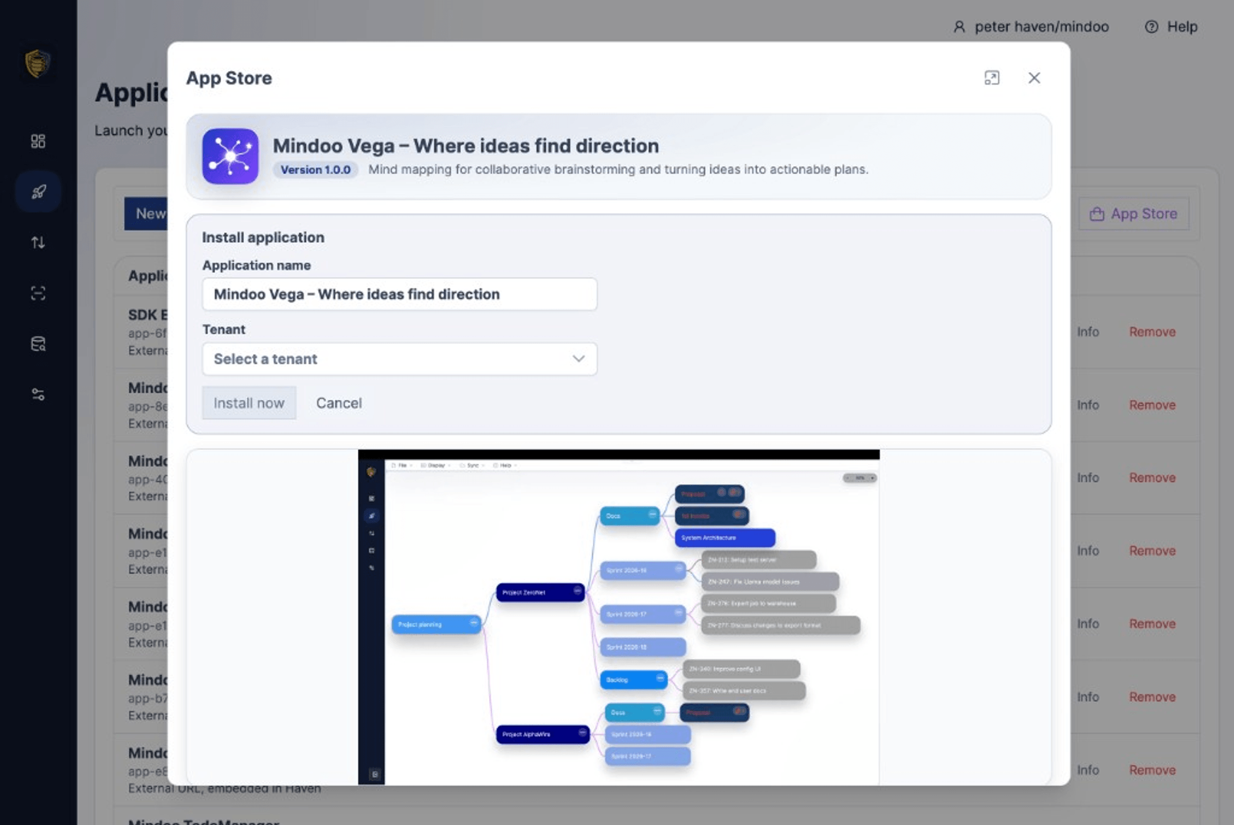 Haven App Store install step with editable application name and tenant selection