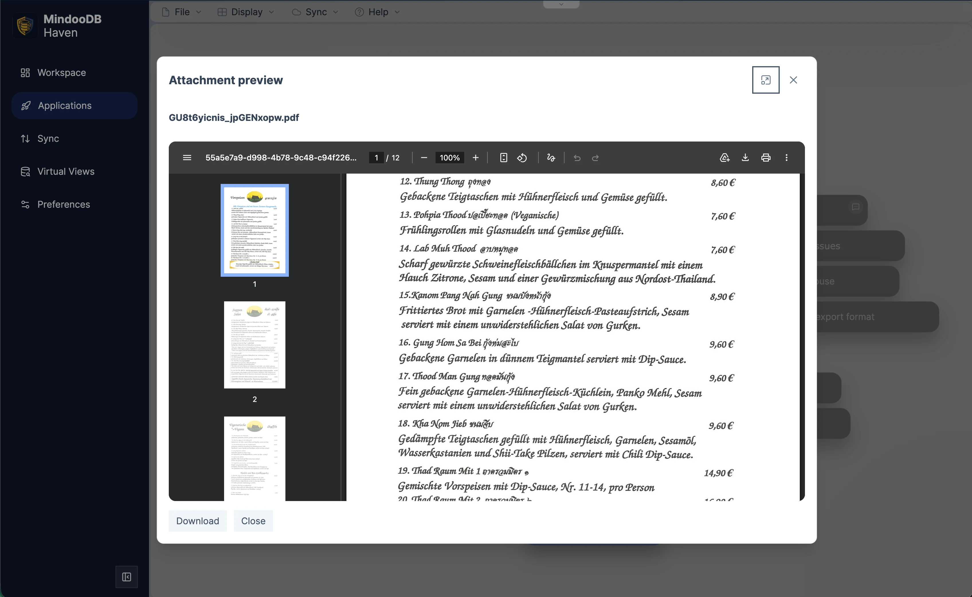 Haven attachment preview dialog showing a PDF with page thumbnails and document controls
