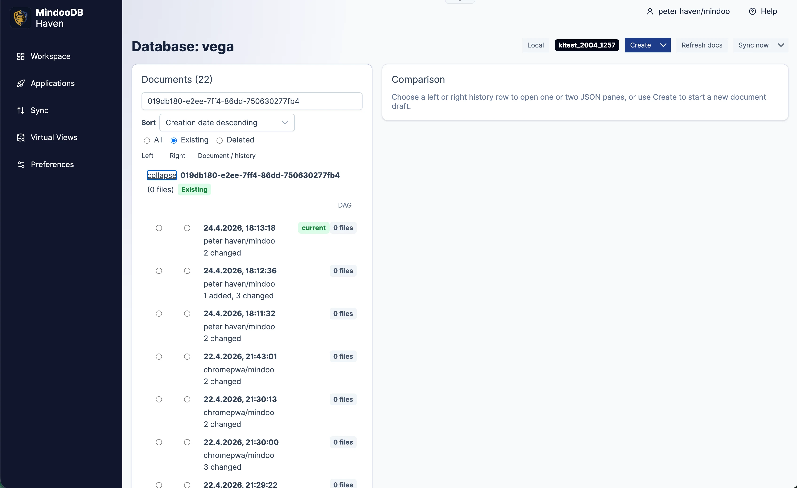 Haven database browser showing an expanded document history with multiple revisions