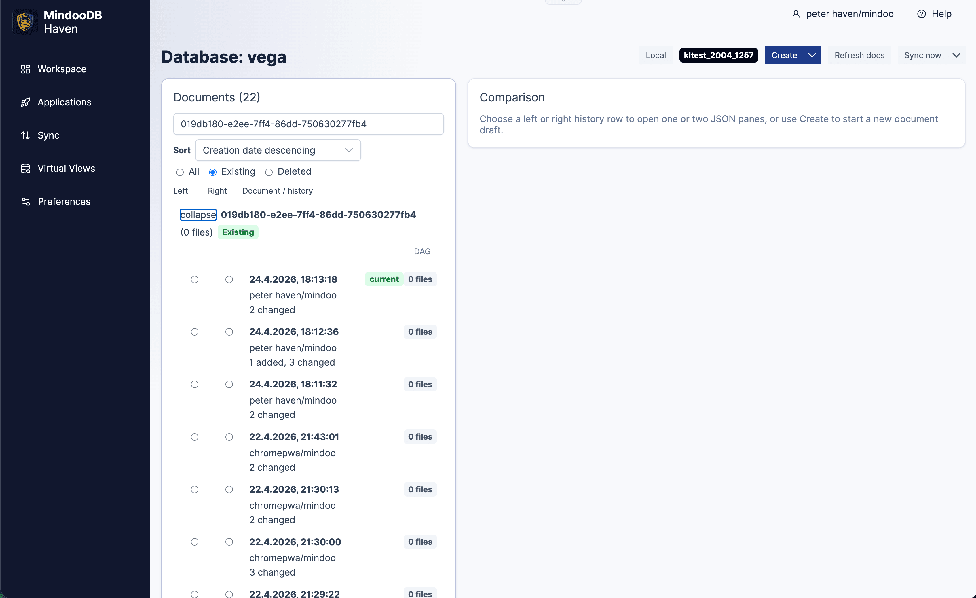 Haven database browser showing an expanded document history with multiple revisions