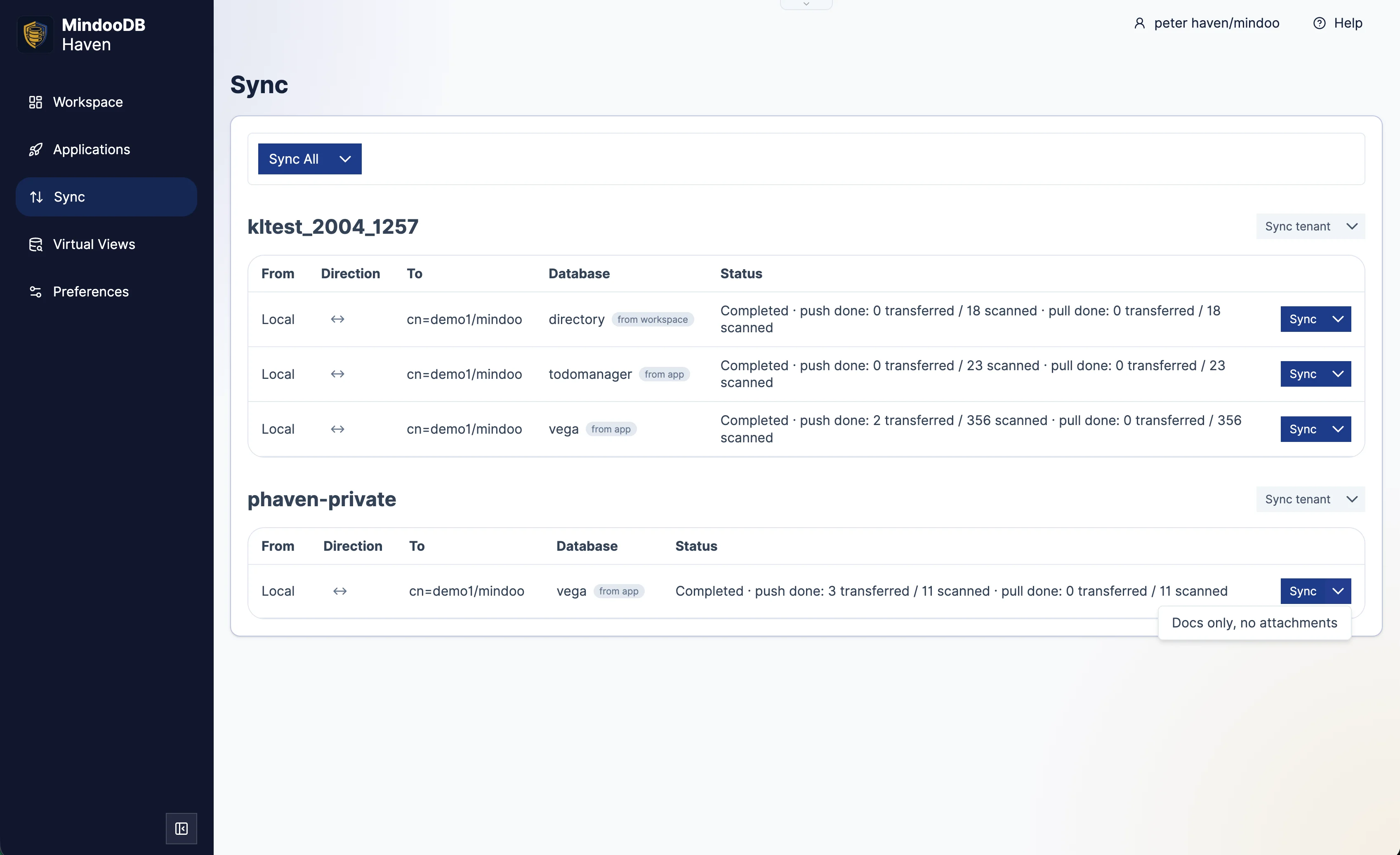 Haven Sync page listing tenant databases with direction indicators and a Sync menu open on the Docs only, no attachments option