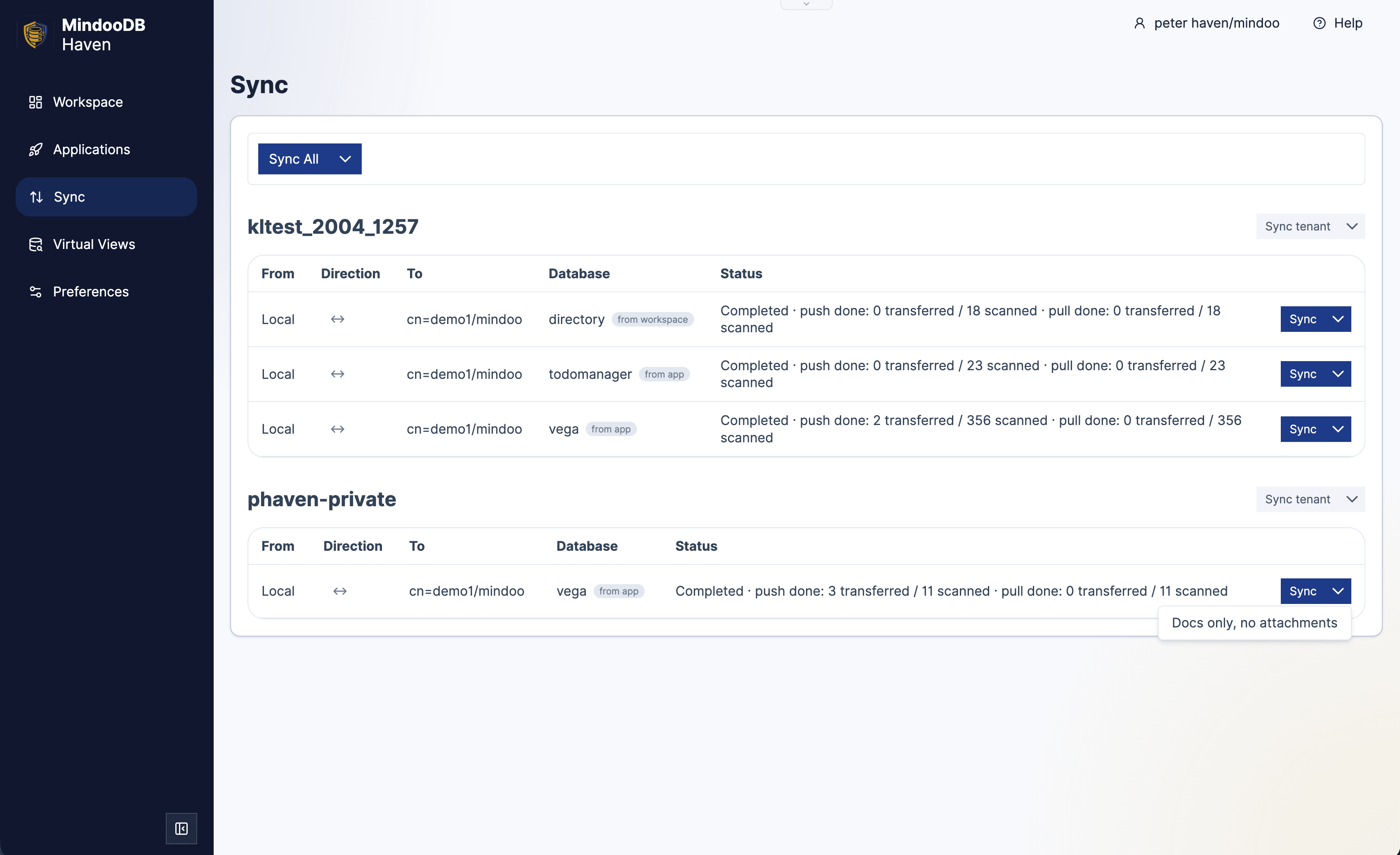 Haven Sync page listing tenant databases with direction indicators and a Sync menu open on the Docs only, no attachments option