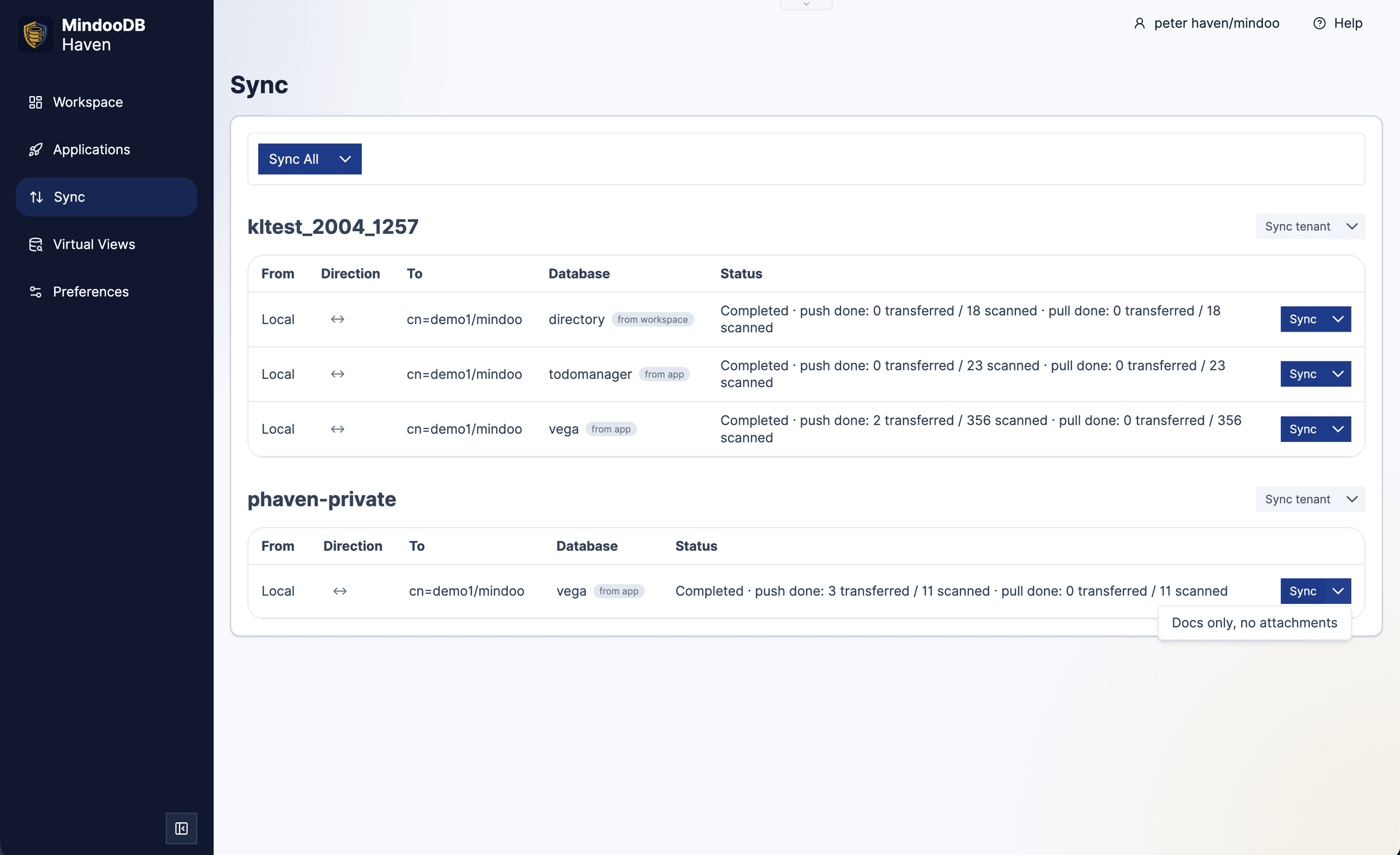 Haven Sync page listing tenant databases with direction indicators and a Sync menu open on the Docs only, no attachments option