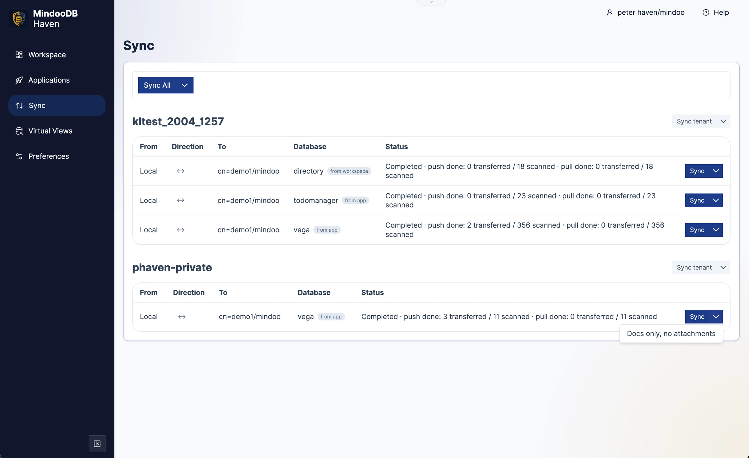 Haven Sync page listing tenant databases with direction indicators and a Sync menu open on the Docs only, no attachments option