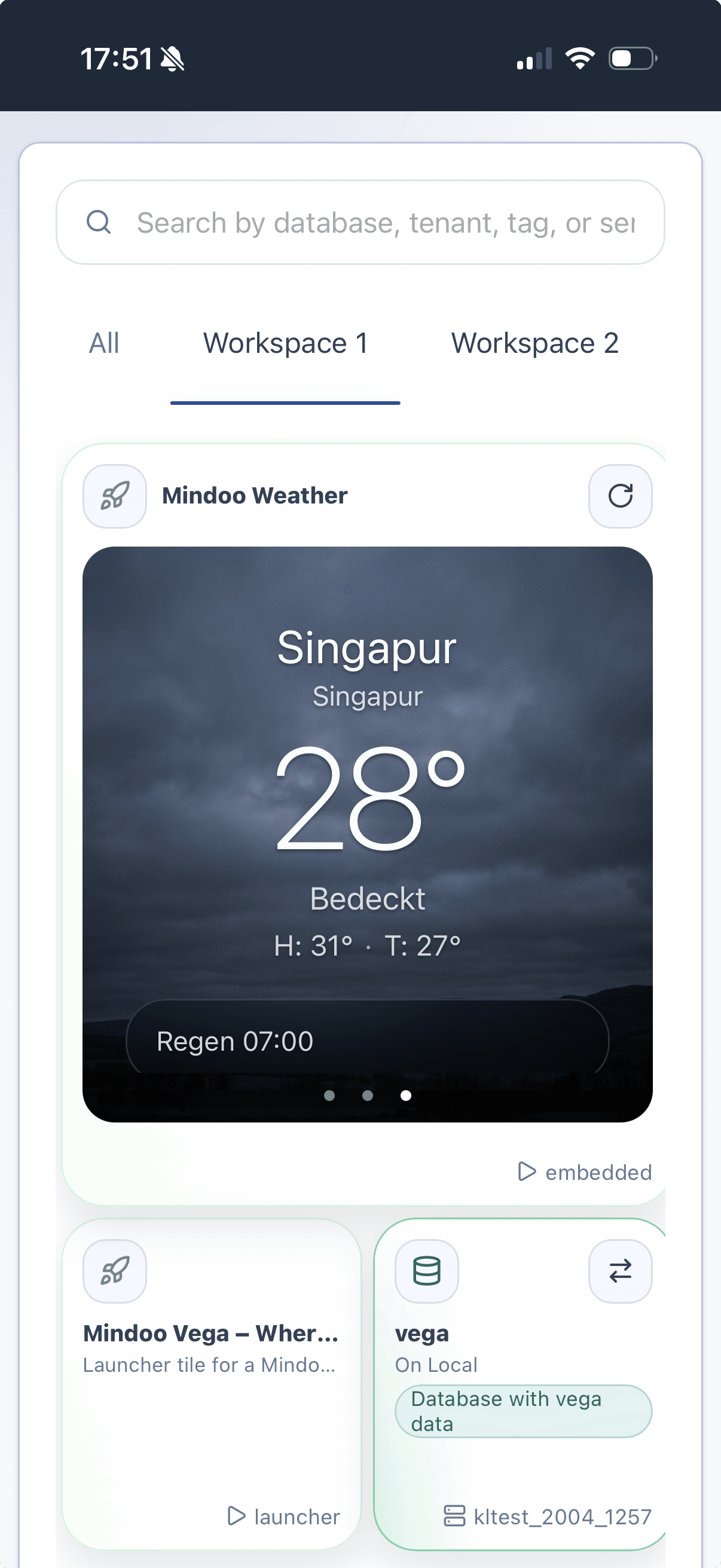 Haven workspace page on iPhone showing tiles including Weather, launcher, and database tiles