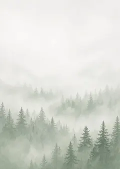 Foggy pines TeamSketchbook cover: Foggy pines