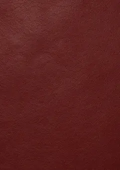 Leather burgundy TeamSketchbook cover: Leather burgundy