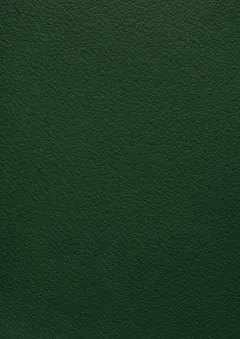 Leather forest green TeamSketchbook cover: Leather forest green
